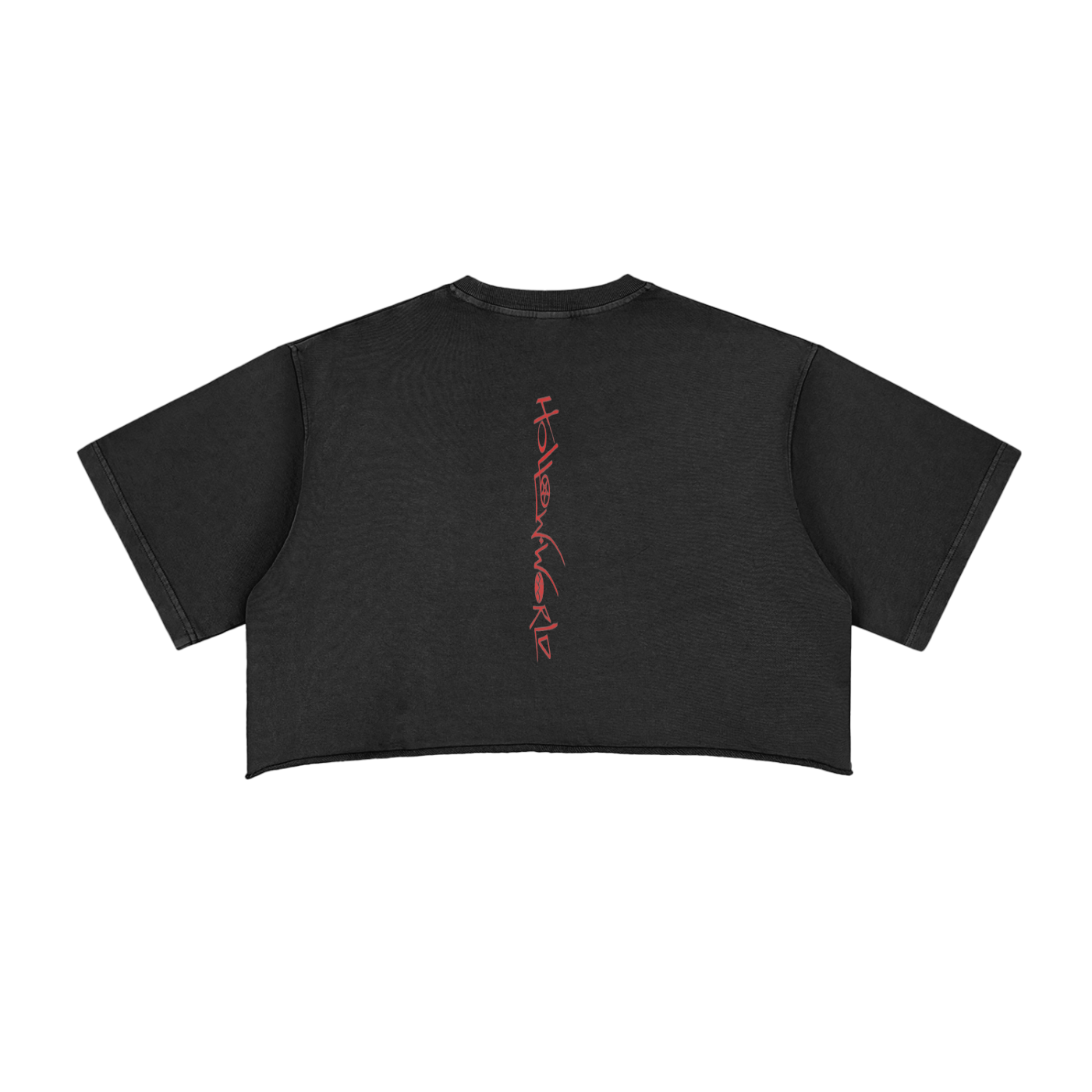 Snow Washed Raw Edge Crop Top