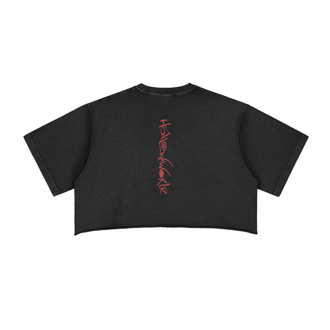 Snow Washed Raw Edge Crop Top