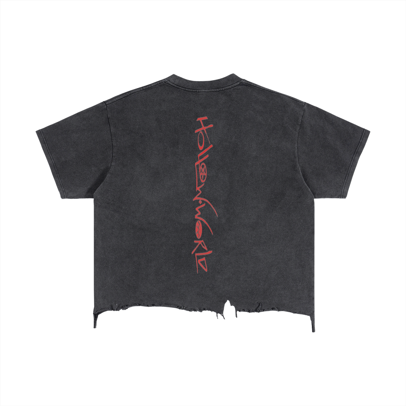 Hollow World Seraphim Vintage Wash Boxy Distressed Hem T-Shirt Unisex Fit