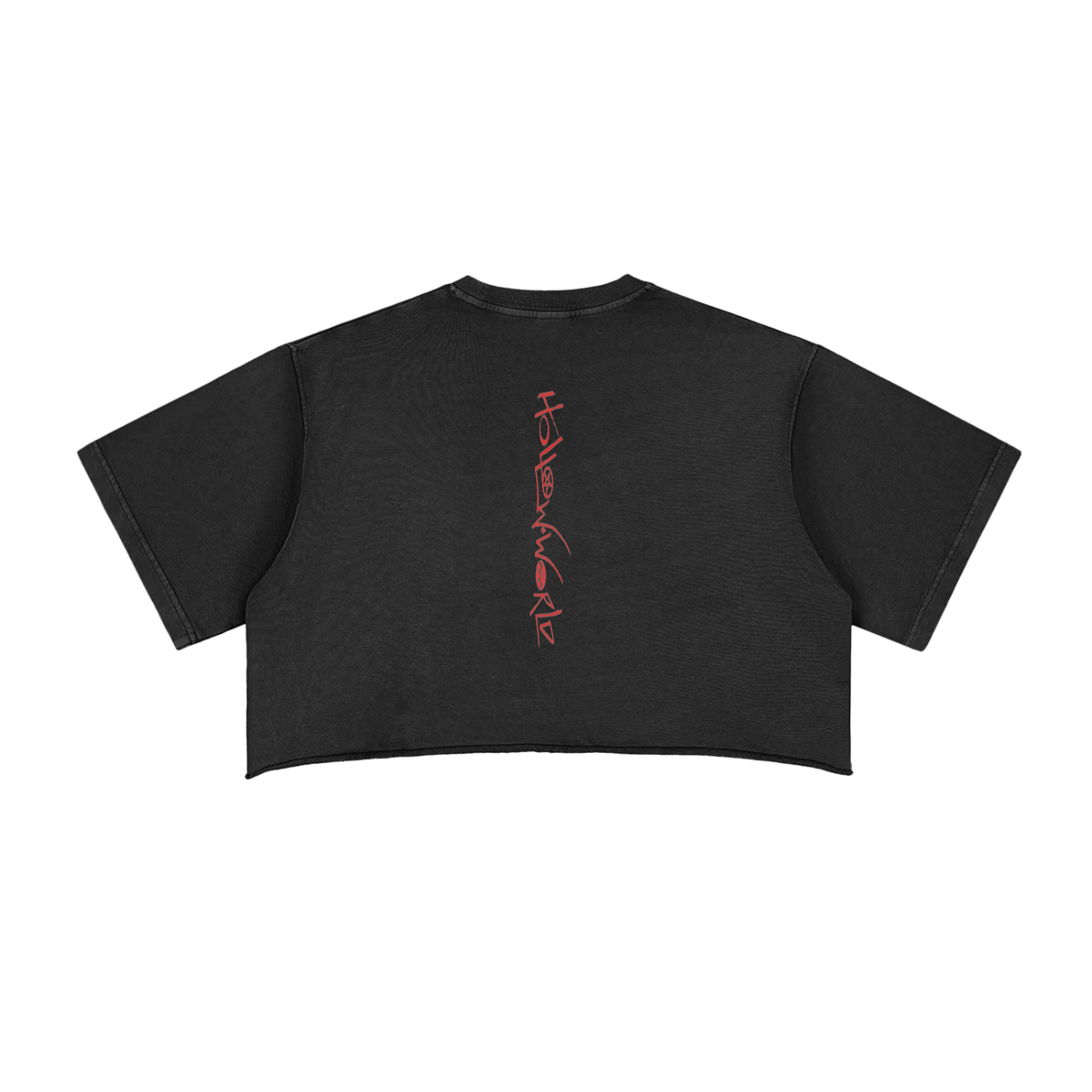 Snow Washed Raw Edge Crop Top