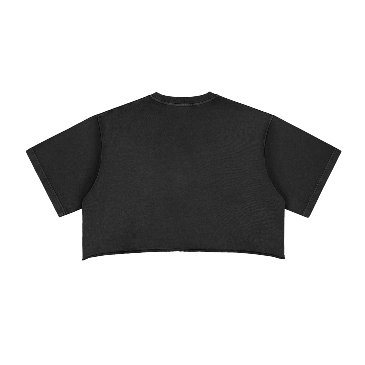 Hollow World Gifts For Crows Snow Washed Raw Edge Crop Top